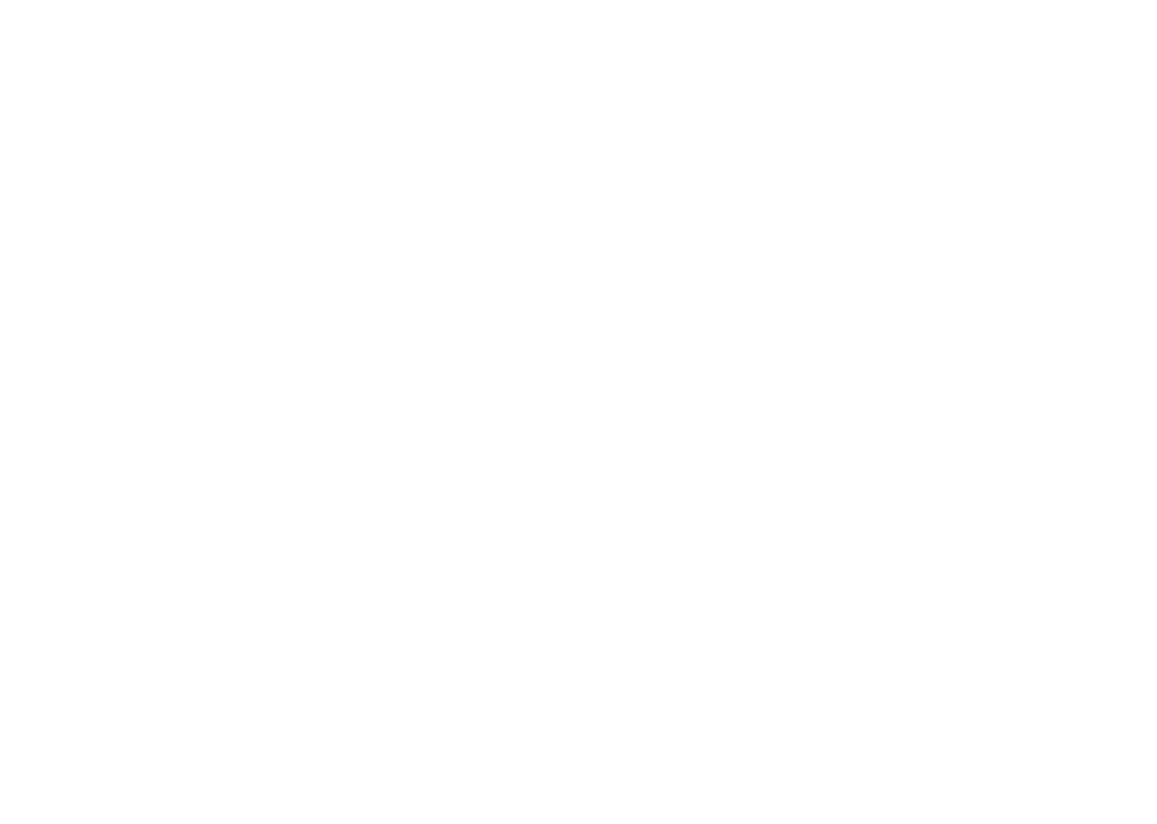 Swiss Training System